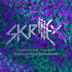 Portada de Would You Ever (Branchez & Charlie Klarsfeld Remix)