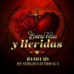 Portada de Entre Besos Y Heridas