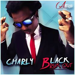 Portada de Bruk Out