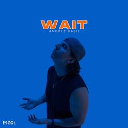Portada de Wait