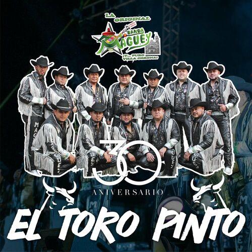 Portada de El Toro Pinto