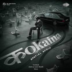 Portada de Kokaina (Spatial Audio)
