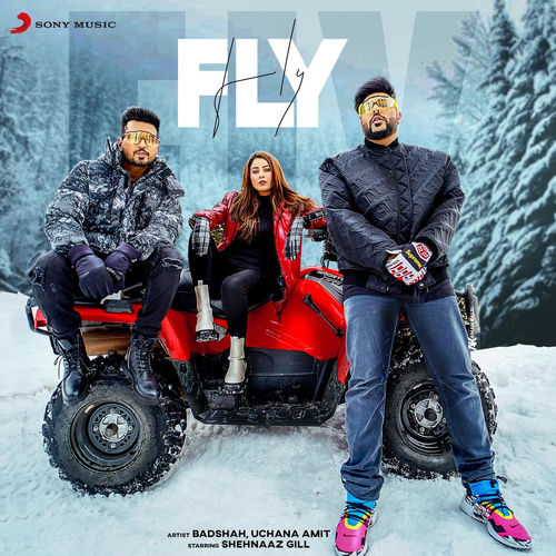 Portada de Fly