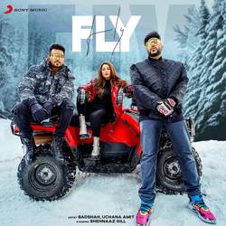 Portada de Fly