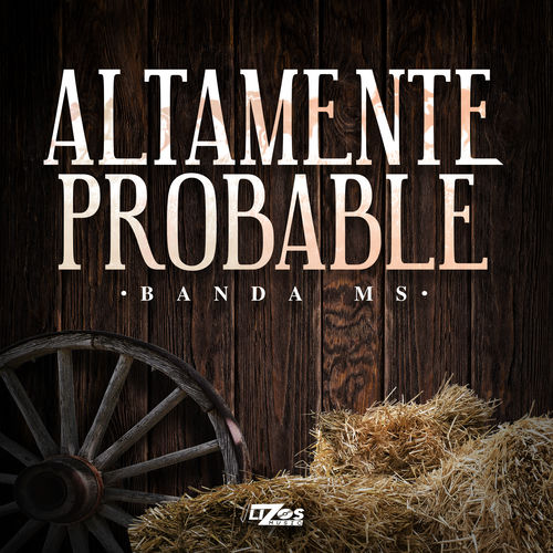 Portada de Altamente Probable