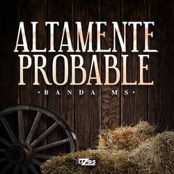 Portada de Altamente Probable