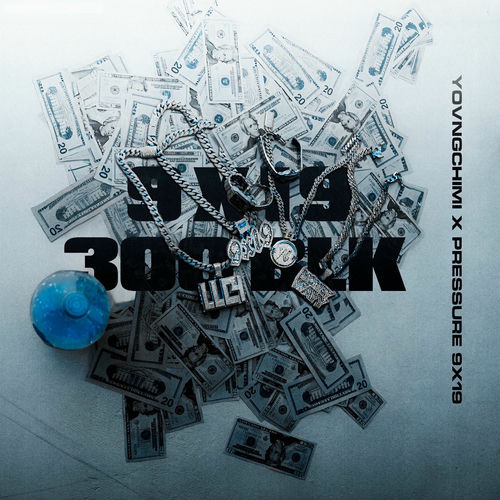 Portada de 9x19/300BLK