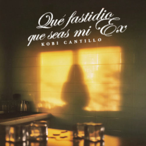 Portada de qué fastidio que seas mi ex