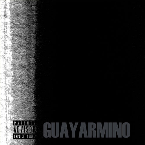 Portada de Guayarmino