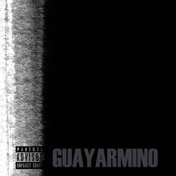 Portada de Guayarmino