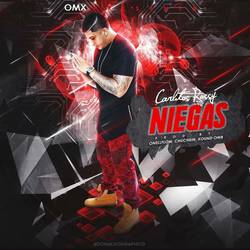 Portada de Niegas