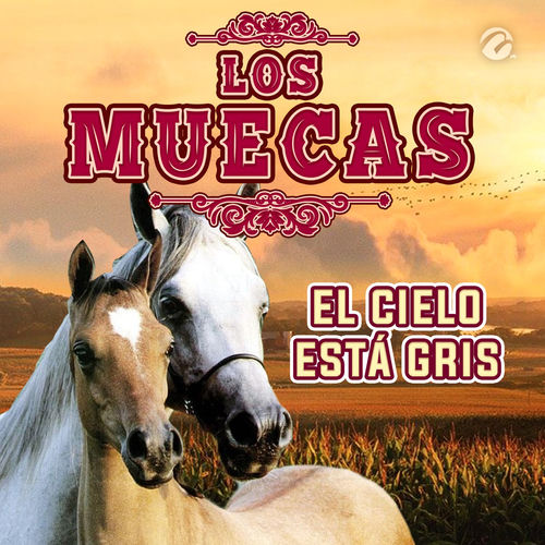 Portada de El Cielo Está Gris