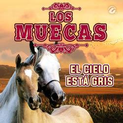 Portada de El Cielo Está Gris