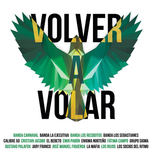 Portada de Volver A Volar