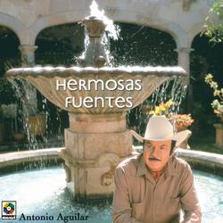 Portada de Hermosas Fuentes