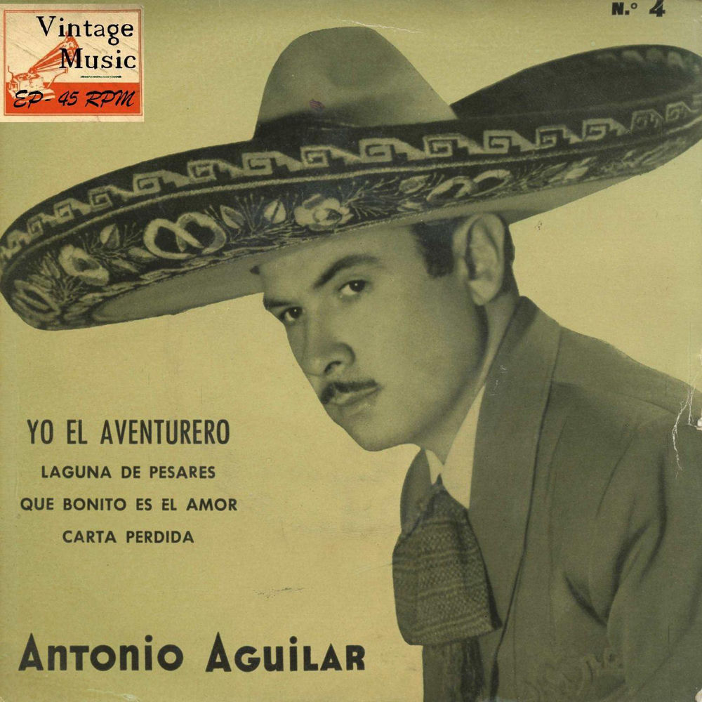 Portada de Laguna de pesares