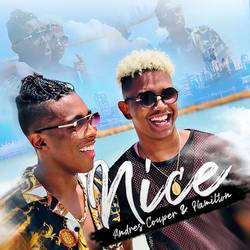 Portada de Nice (RNB Remix)
