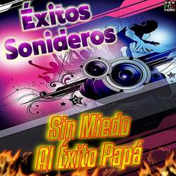 Portada de Sin Miedo Al Exito Papa
