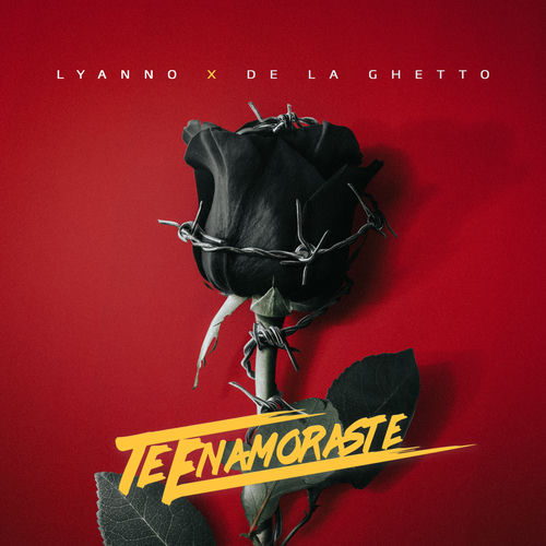 Portada de Te Enamoraste