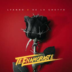 Portada de Te Enamoraste