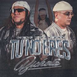 Portada de Tu No Eres Bichota