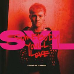 Portada de SYL