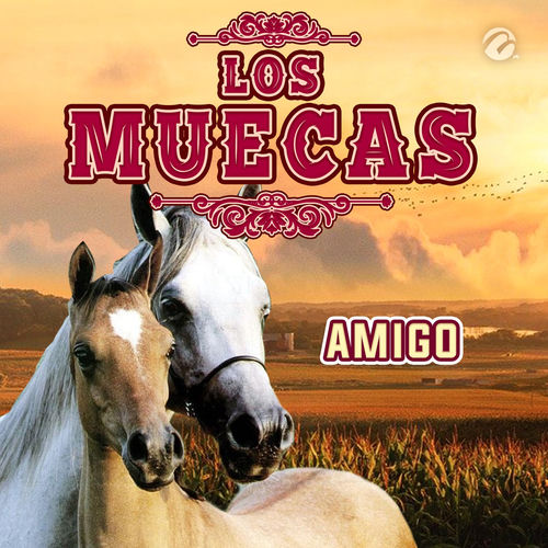 Portada de Amigo