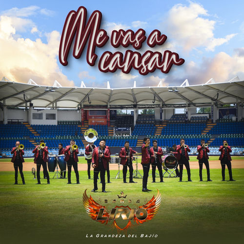 Portada de Me Vas a Cansar