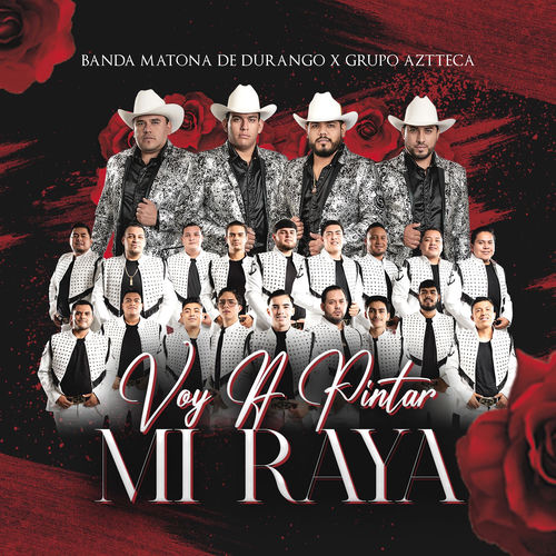 Portada de Voy a Pintar Mi Raya
