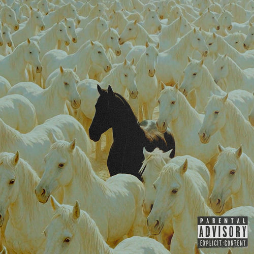Portada de NORMAL II