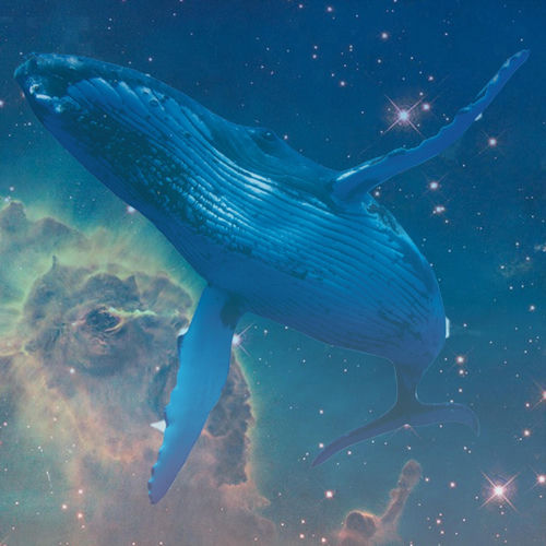 Portada de Loneliest Whale