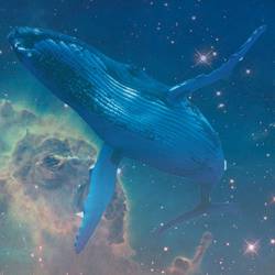 Portada de Loneliest Whale