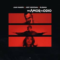 Portada de Del Amor Al Odio