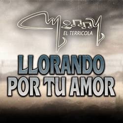 Portada de Llorando Por Tu Amor